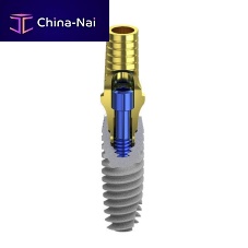 Cylindrical dental implant B1titaniuminternalconical