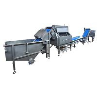 Potato processing line TRWPCroot vegetable