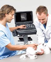 On-platform veterinary ultrasound system E-CUBE i7multipurpose