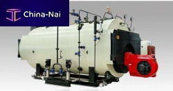 Steam boiler WNS seriesbiogashorizontal