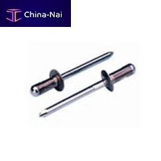 Large head rivet Avex® seriesplasticstructuralmultigrip