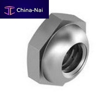 Hexagonal nut 1231 seriesstainless steel