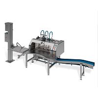 Demoulder line for the food industry automaticcompressed air
