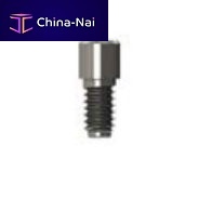 Prosthodontic screw 0216