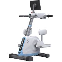 Limbs mobility rehabilitation system computer-assistedwith interactive workout