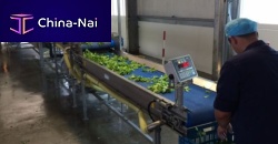 Water washing line dryautomaticprocess
