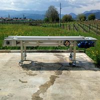 Sorting table for the food industry TCOfor grapes