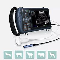 Portable veterinary ultrasound system S1multipurposefor small animalsfor large animals