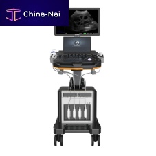 On-platform ultrasound system DW-T60for multipurpose ultrasound imagingfor cardiovascular ultrasound imagingB/W