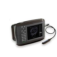 Hand-held veterinary ultrasound system EC6multipurposefor felinesfor canines