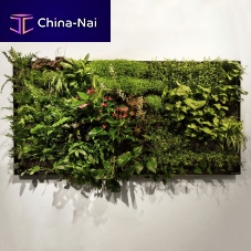 Living frame with live plants 2M2naturalindoorwall-hung