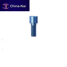 Prosthodontic screw SKYFFSPK