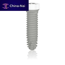 Cylindro-conical dental implant Z1® Infinityzirconiainternal octagonscrew
