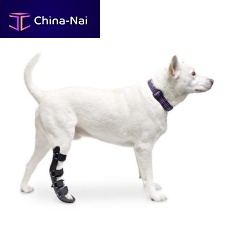 Paw veterinary splint Walkin� Rearanklehock