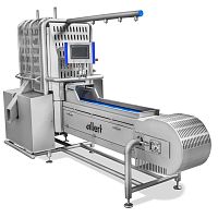 Cauliflower floretting machine CABRO seriesbroccoli