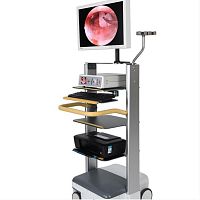 Endoscopy column