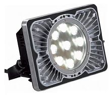 LED floodlight 30W, 8h, IP65 | BABY lightingemergency
