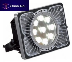 LED floodlight 30W, 8h, IP65 | BABY lightingemergency