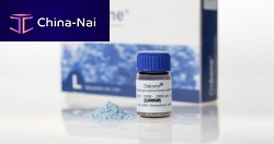 Synthetic bone substitute Osbone® Dentalfor dental sugerypowder