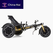 Crank-propelled recumbent trike TRIXpediatric