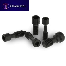 Screw implant screw