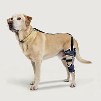 Dog veterinary orthosis Balto® Ligatekkneearticulated