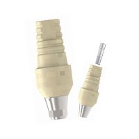 Titanium implant abutment Sub. Easy Temporary PEEKinternalhexagonal