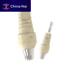 Titanium implant abutment Sub. Easy Temporary PEEKinternalhexagonal