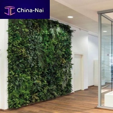 Moss green wall indoor