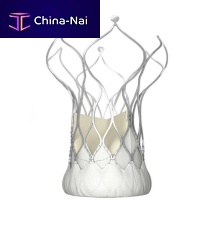 Aortic valve bioprosthesis VITAFLOWbovine tissuesutureless
