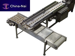 Sanitary conveyor belthorizontaltransport