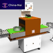 In-line demagnetizer DU Seriestunnelfor workpiecesconveyor belt