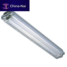 Emergency lighting PROTECTA III S/SLEDIP67IP66