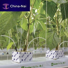 Planting bag VITAL DRY