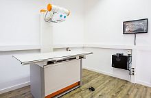 Veterinary X-ray system Amadeo Vdigitalanalog