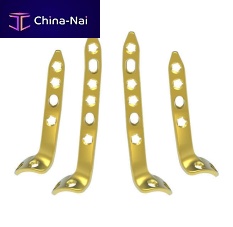 Ankle arthrodesis plate EPIC anterolateralposterolaterallocking