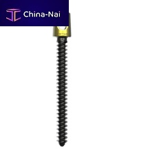 Lumbar-sacral vertebra pedicle screw polyaxialmetallic