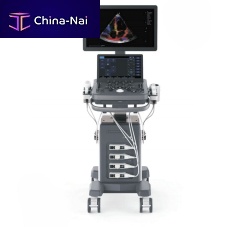 On-platform ultrasound system YSB-ViV40for multipurpose ultrasound imagingfor gynecological and obstetric ultrasound imagingfor cardiovascular ultrasound imaging