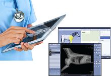 Veterinary radiology software VetViewfor veterinary clinicsmanagementacquisition