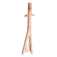 Abdominal aorta vascular bioprosthesis AngioGraft®iliac arteryallograft