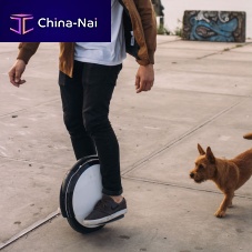 Segway© One S1