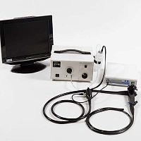 Video veterinary gastroscope VetscopeTM