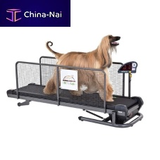 Dog veterinary treadmill Professional
