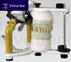 Fully-adjustable dental articulator Stratos 300