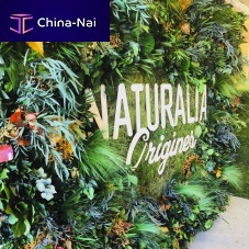 Preserved green wall Feuillucustomnaturalfoliage
