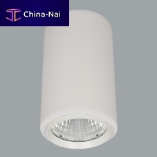 Surface mounted downlight PIPA MAXI BRIDGESPOT / I01.MLS.16014LEDroundIP20