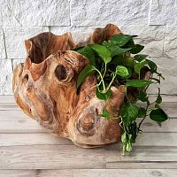 Teak plant pot ANOUKhomefor hotel