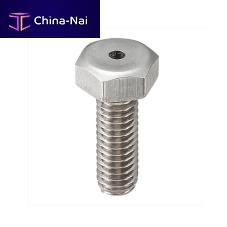 Bolt with hexagonal head SVHSstainless steel