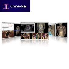 Anatomy software VH Dissectortraining