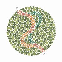 Ishihara test book 08399